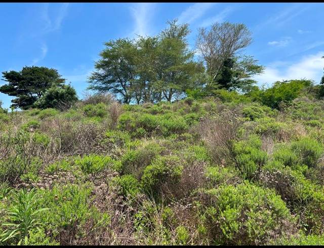 LAND FOR SALE IN ZINI RIVER ESTATE